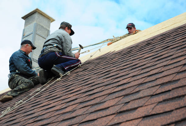 Trusted Newburg, WI Roofing Contractor Experts
